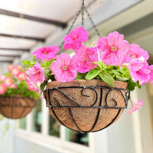 LaLaGreen Hanging Planter for Outdoor Plants (12 Inch, 2 Pack) Hanging Baskets with Coco Liner, Black Metal Wire Flower Basket Pots with Hook Hanger Balcony Porch Farmhouse Country Style Garden Decor