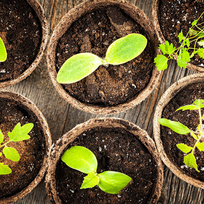 FDGARDEN Biodegradable Peat Pots for seedlings, 100 Pack Plant Seed Starter Pots Kit, 2.36inch Succulent Planter Nursery Pots with 10 Plant Markers, Garden Germination Kits