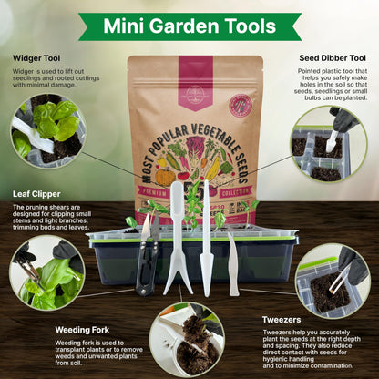 55 Vegetable Seeds Variety Pack - 35,600+ Non-GMO Heirloom Seeds for Planting Vegetables and Fruits in Individual Seed Packets, Home Garden Seeds for Hydroponic, Indoor and Outdoors Gardening