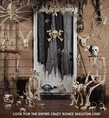 Crazy Bonez Large Skeleton Spider